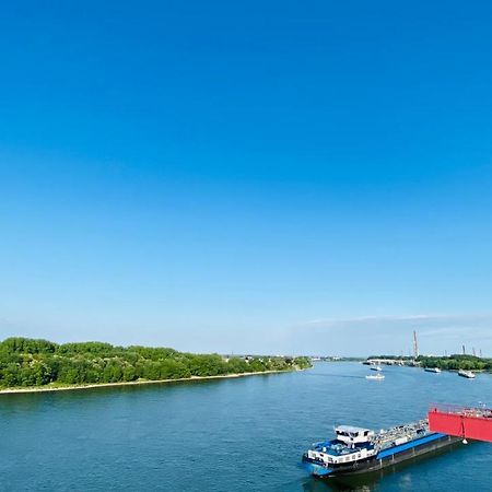 Hotel Am Rhein Веселинг Екстериор снимка